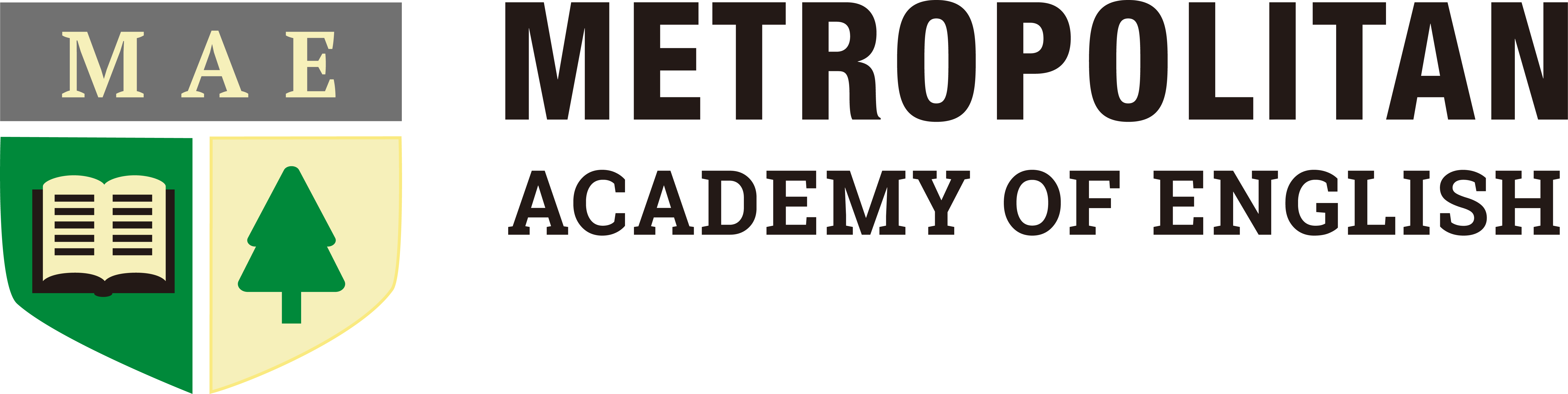 Metropolitan Academy of English